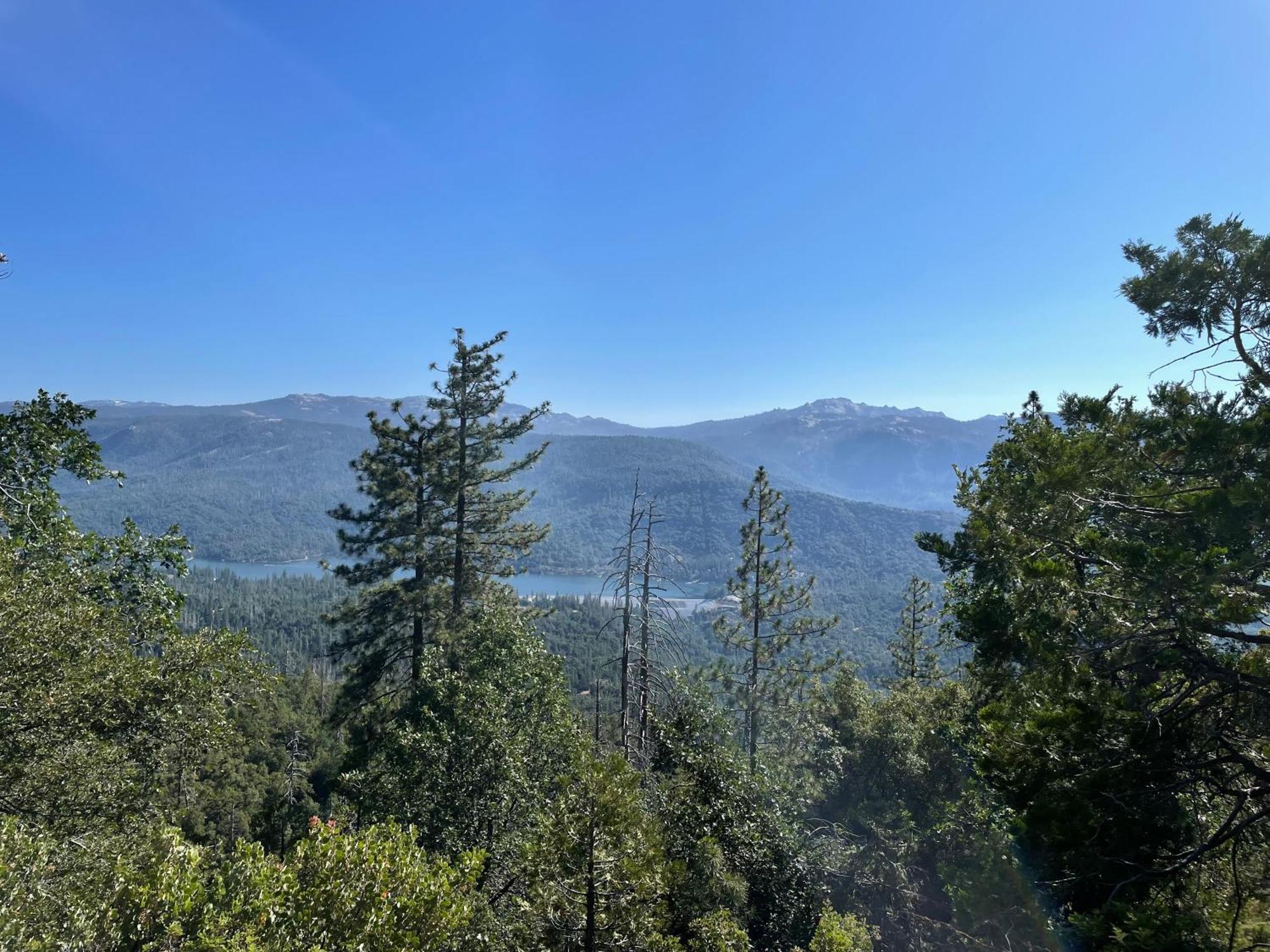 Stewart Chalet @ Yosemite/Bass Lake Ngoại thất bức ảnh