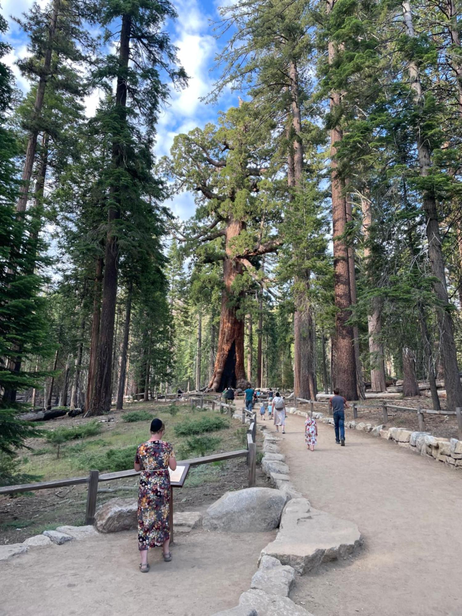 Stewart Chalet @ Yosemite/Bass Lake Ngoại thất bức ảnh