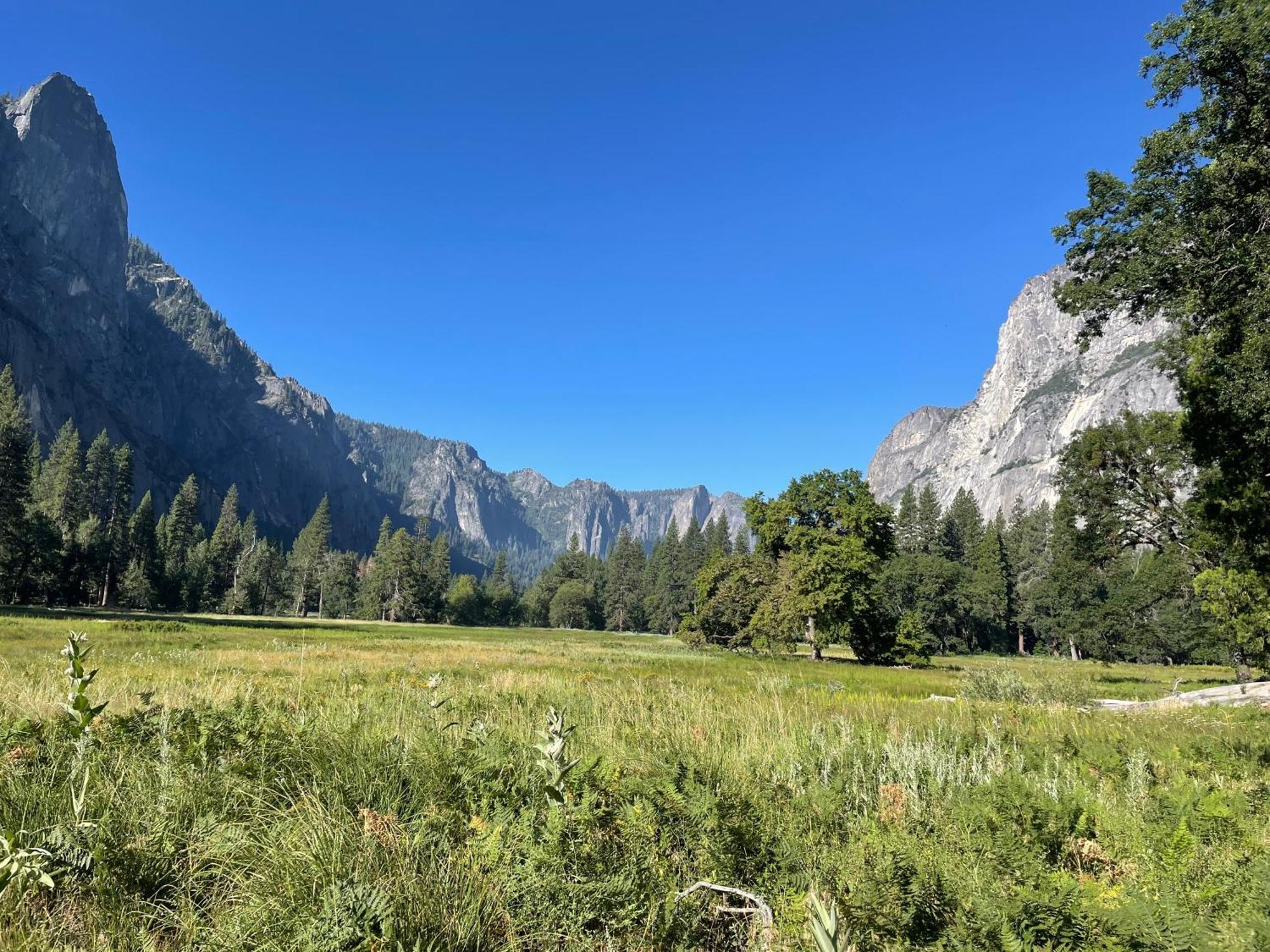 Stewart Chalet @ Yosemite/Bass Lake Ngoại thất bức ảnh